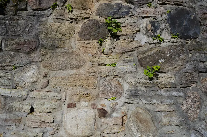 Natural Limestone Design